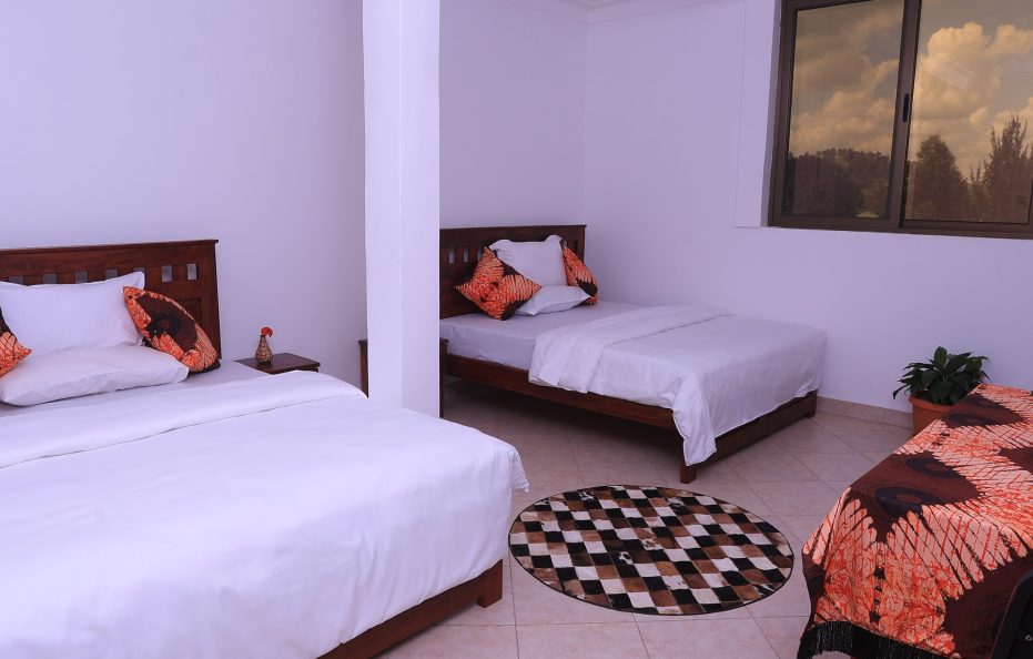 Palm Twin Double Room