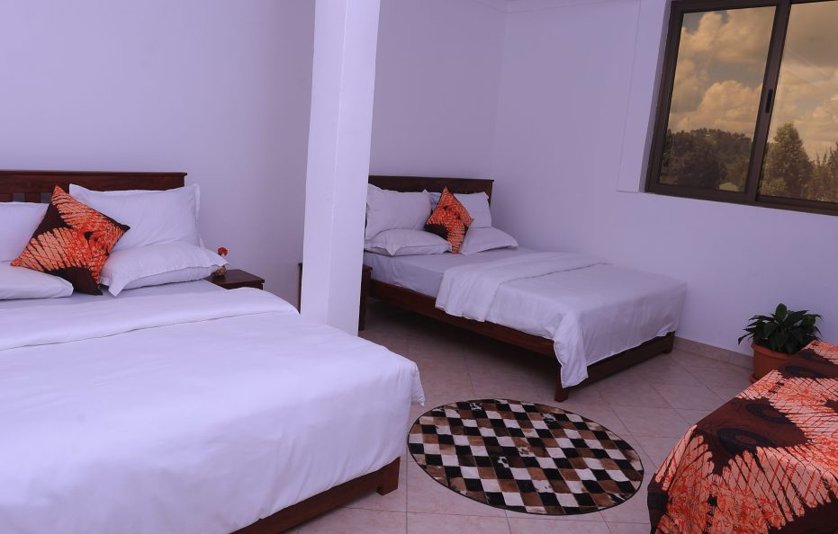 Palm Twin Double Room