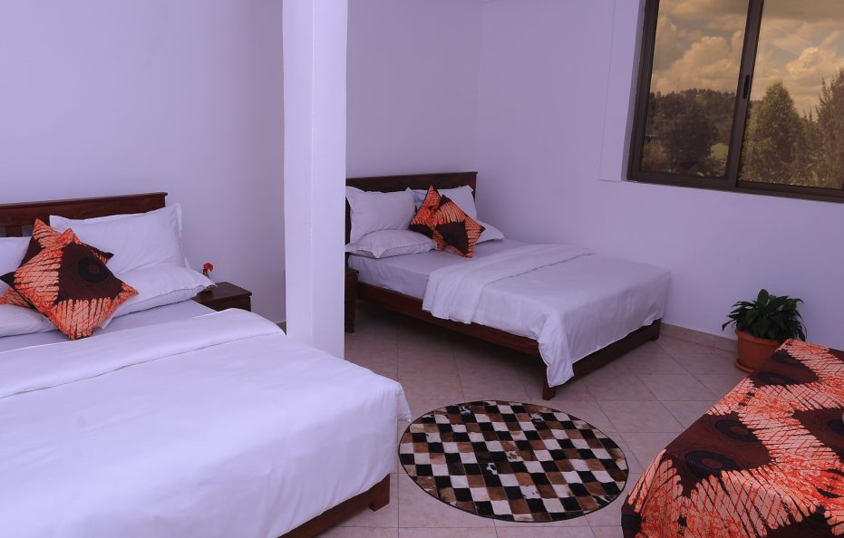 Palm Twin Double Room