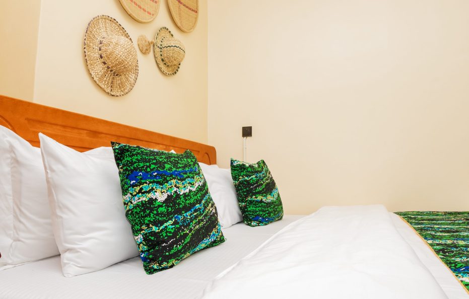 Rwenzori mountain view apartments