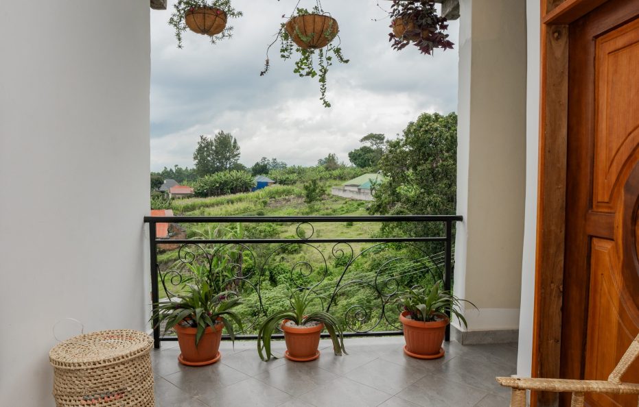 Rwenzori mountain view apartments