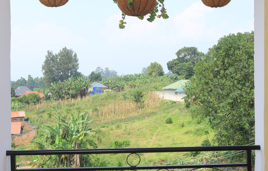Rwenzori mountain view apartments